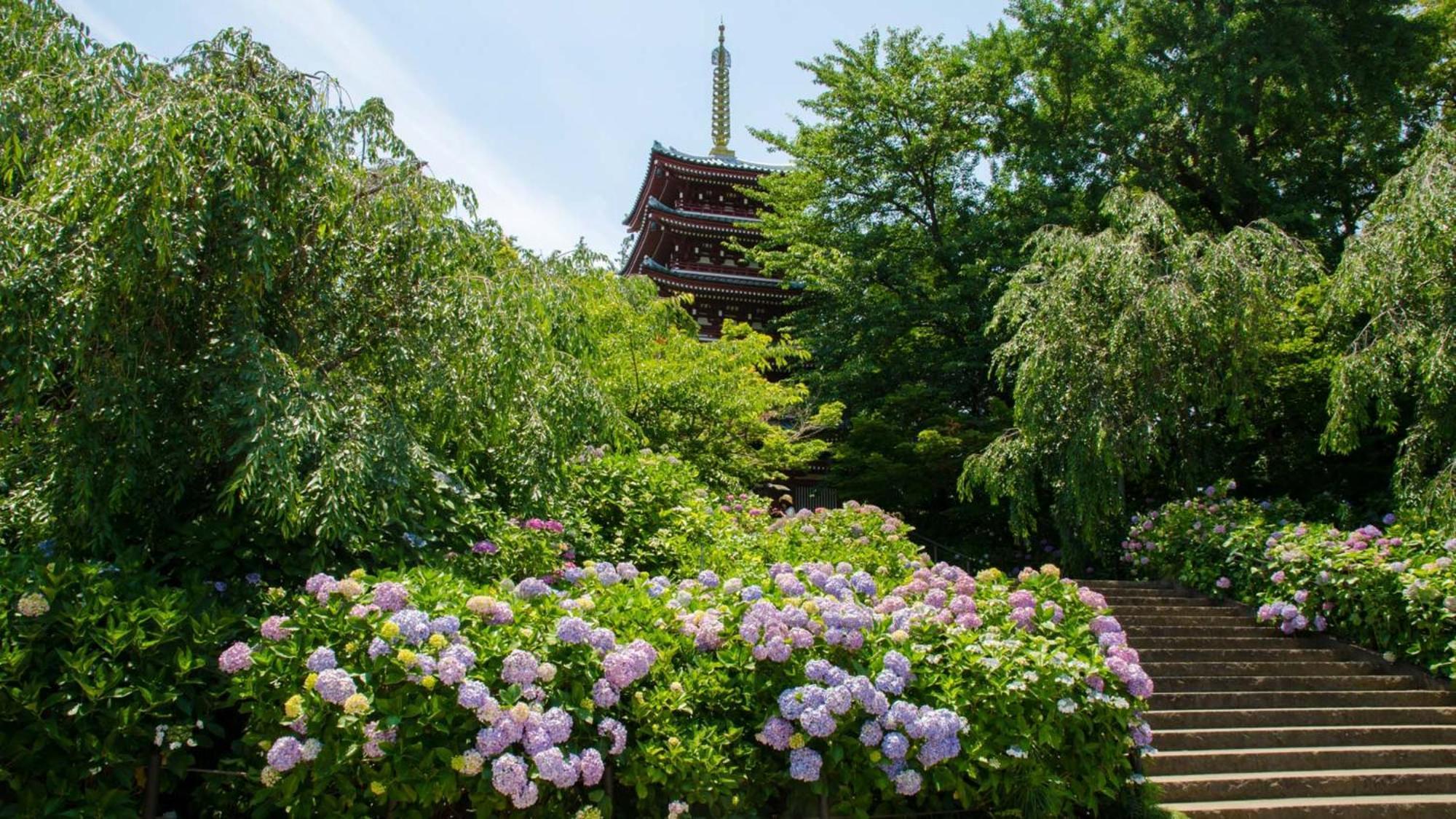Toyoko Inn Matsudo Eki Higashi Guchi Esterno foto